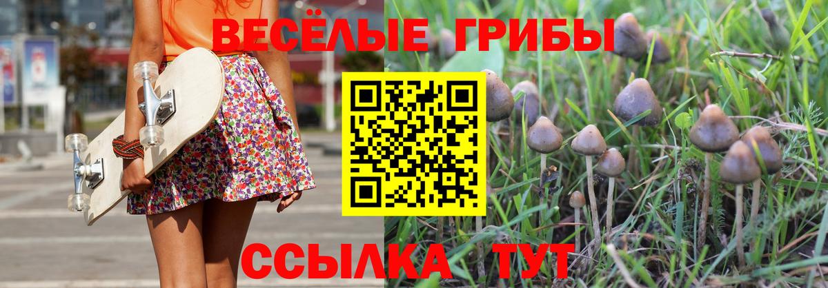 Галлюциногенные грибы GOLDEN TEACHER  Псилоцибиновые грибы Psilocybine cubensis  Златоуст  закладки  Вход с VPN 